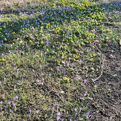 23-02-13 13-02-52 4195